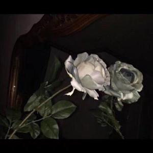 男人与老妓女人做爱
